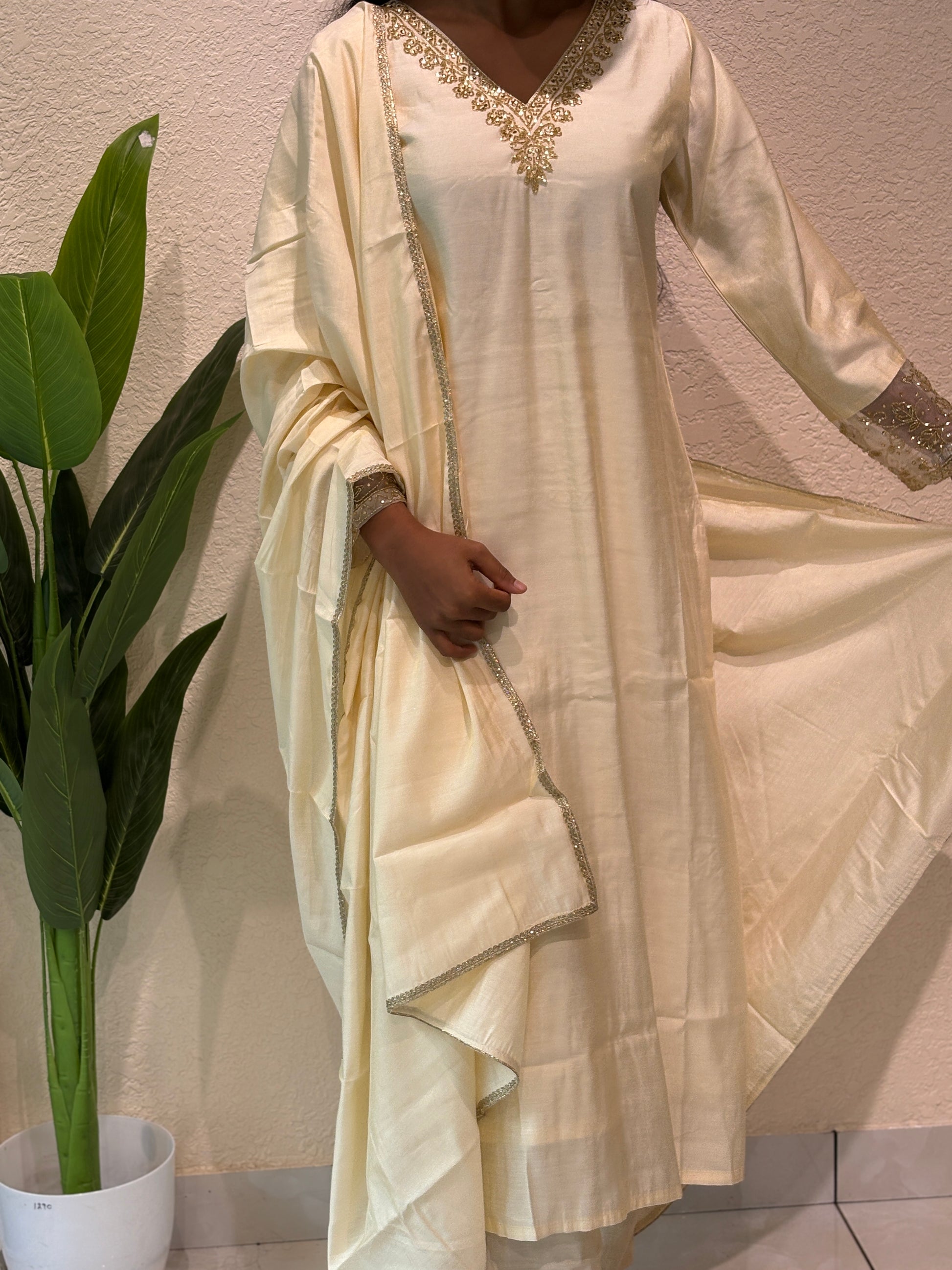 Party Wear Set